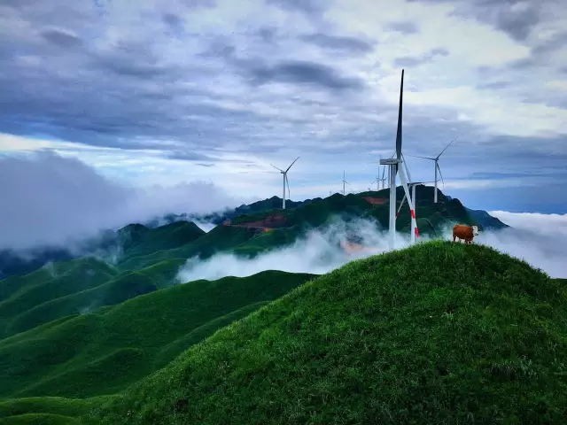 避暑 乡村旅游 民宿 乡村体验 自驾游